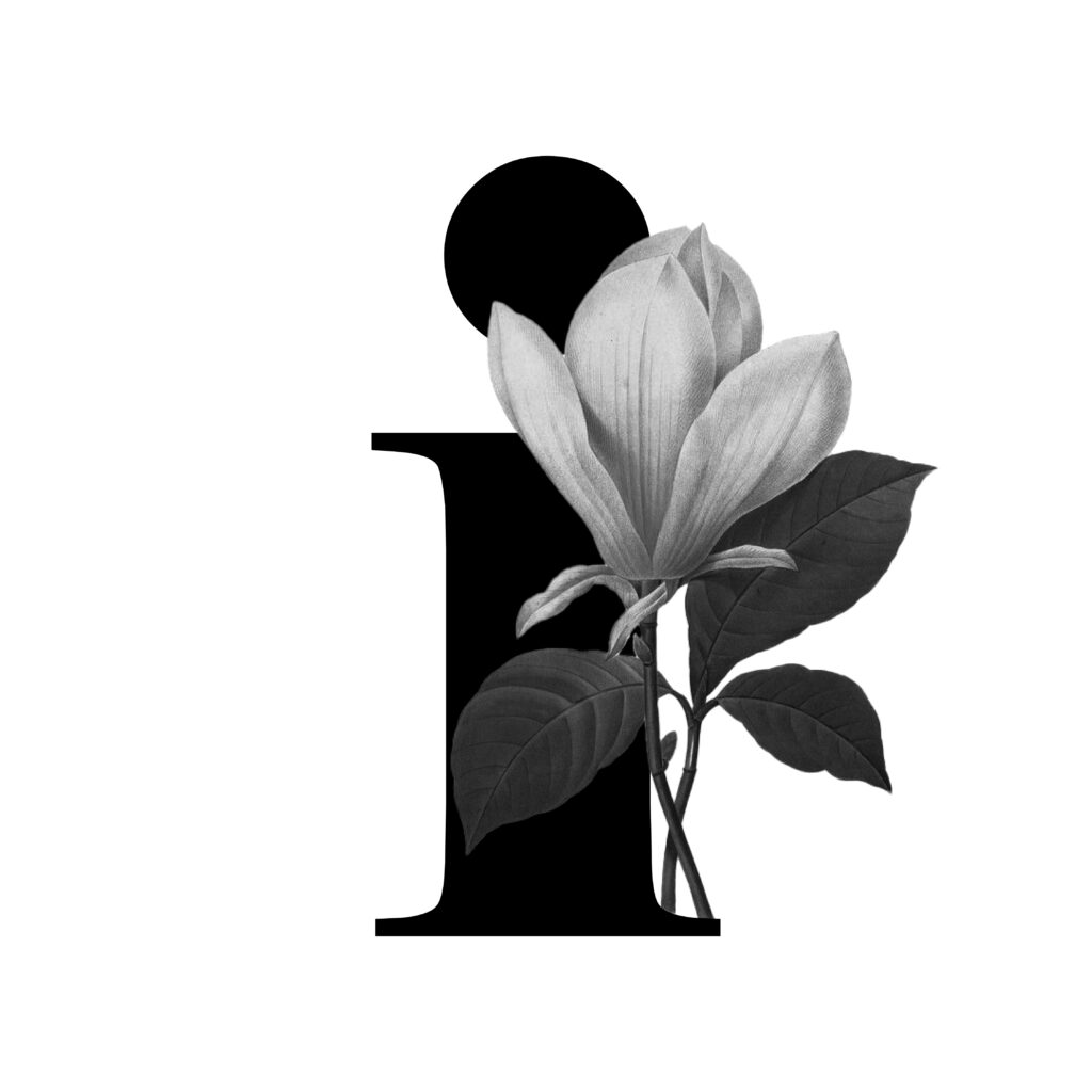 interview graphic design Ninu