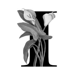 How to Stand Out as a starting Designer