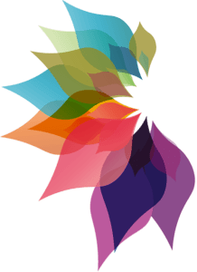 Graphic Design Course expert